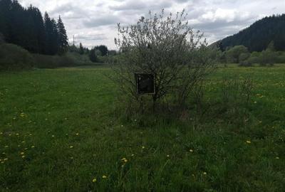 Teren intravilan in Gheorgheni, zona Km 4 - 4