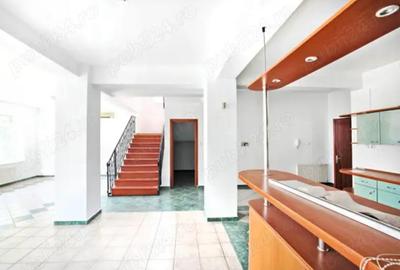 Casă individuală cu 8 camere în Herăstrău