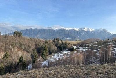 Teren 2,5 hectare in Simon, comuna Bran - 4