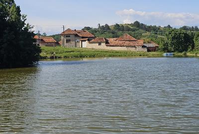 Casa la tara cu 3 camere + teren intravilan Sup 962 mp, Colesti, Bihor - 3