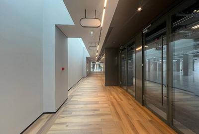 AFI Loft, Cotroceni, 318 - 12000 mp  0% comision! - 15