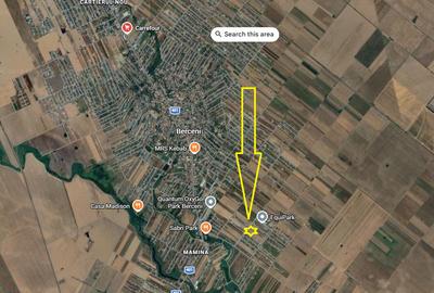 Teren intravilan de vanzare- Comuna Berceni   Zona Primaverii - 1