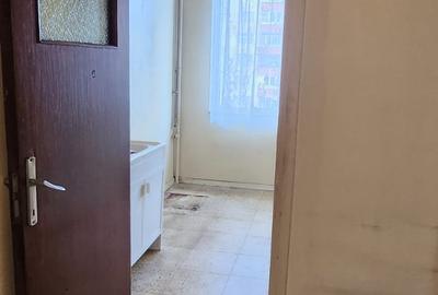 Apartament 2 camere b-dul Victoriei, etaj 4/8, insorit, priveliste peisagistică - 10