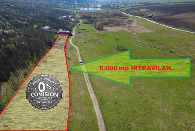 TEREN INTRAVILAN 5.000 mp, VASLUI - zona LAC DELEA; - 1