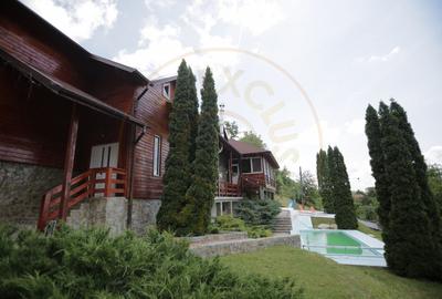 Pensiune in zona de munte-Baia de Fier - 12