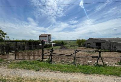Teren de vanzare zona CAP- Tulcea - 6