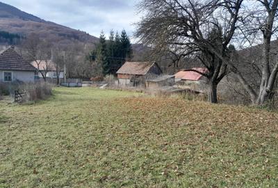 Teren Intravilan Ideal Pt Casa de Vacanta ,Valea Dobarlaului