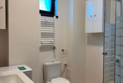 Apartament 2 camere Berceni  Drumul Gazarului - 13