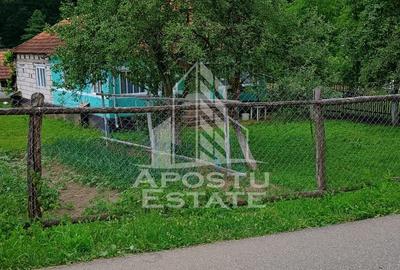 Casa batraneasca de vanzare, 4 camere, in Hunedoara, sat Micanesti - 26