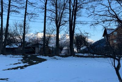 Teren Construcții intravilan de 763 mp, în Bran