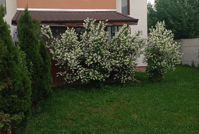 Duplex mobilat si utilat!!! - 2