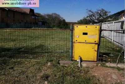 Teren de vanzare - Cocosesti(com. Paulesti) - 5