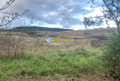 Teren intravilan de vanzare 1248 mp d=15 mTeleac cu utilitati panorama deosebita - 2