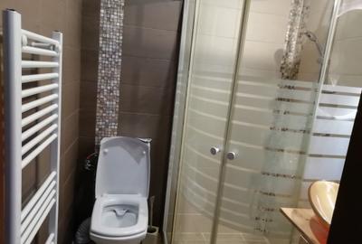 Casa 6 camere libera la vanzare zona AFI - 28