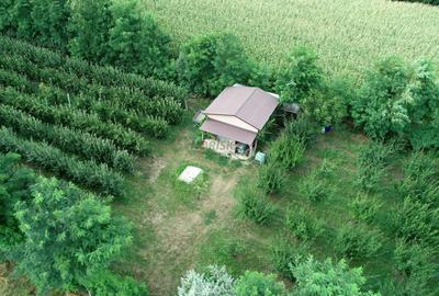 Vila + Afacere 15.000mp Clinceni - 4