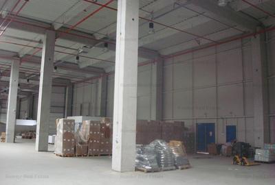 Spațiu industrial, de 700 mp, în Mogoșoaia