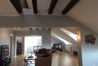 Vilă de închiriat în zona Iancu Nicolae-Jolie Ville - 24