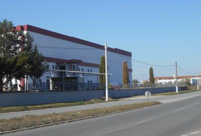 Hala industriala cu pod rulant de inchiriat Lugoj - 4
