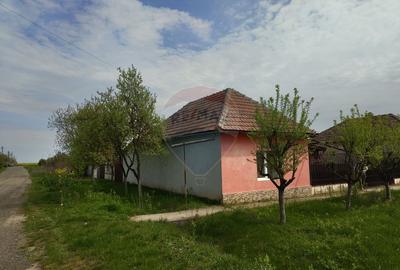Casa de vanzare cu teren de 2175 mp,anexe si livada generoasa | Mailat - 27