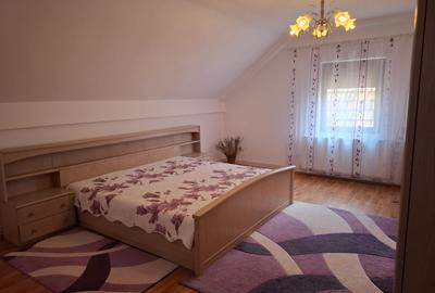 Vila 6 camere P+M in Nadlac - 11