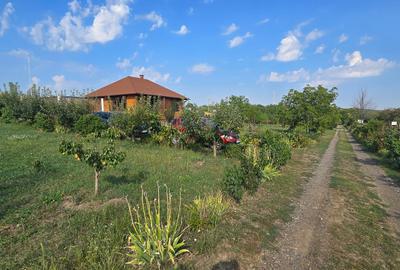 Teren cu cabanuta de lemn in Zaicesti - 7