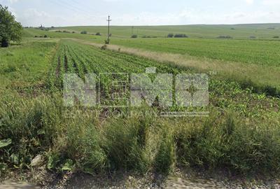 Teren intravilan 1.822 mp | Sfântul Ilie – UAT Șcheia | 145.000 € - 3