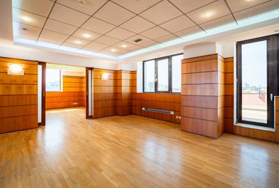 Spatii birouri de inchiriat zona Piata Victoriei - Dorobanti, Bucuresti - 3