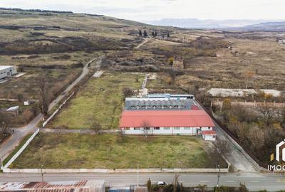 De vânzare Hală 1450mp producti industrial 15000mp teren Călan Jud. Hd - 21