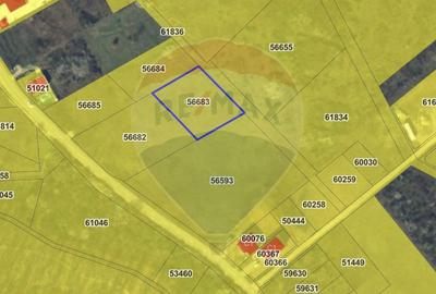 De vânzare teren intravilan 1,955mp , Paleu - 2