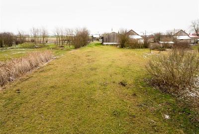 RECO . Teren intravilan cu hala metalica in Roit . - 9