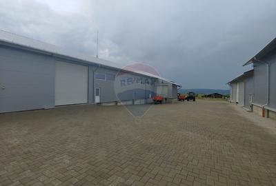 Spațiu industrial-depozit de 292mp de închiriat in Dumbraveni, SV - 2