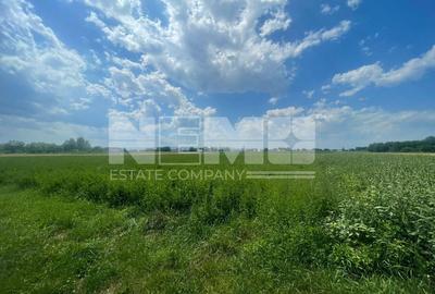 Teren intravilan | 3770 MP | Suceava, Frătăuții Vechi - 5