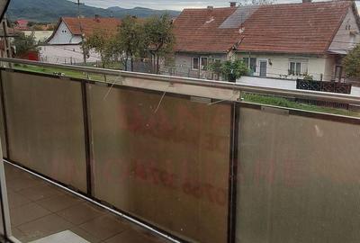 CASĂ P+E, 360 MP, 5 CAMERE\ OȚELU-ROȘU\ZONA GAI - 17