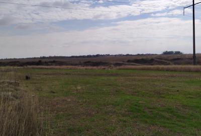 Teren Construcții intravilan de 800 mp, în Malu Mare