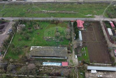 Proprietate generoasă în sat Fundeni, comuna Fundeni, județ Călărași - 3