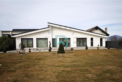 Casa de inchiriat, Cristian Brasov - 1