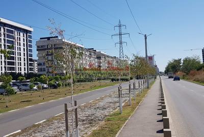 Teren Construcții intravilan de 12288 mp, în Militari