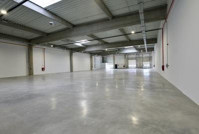 Spații moderne de închiriat – Hala A3 Modul 1 și 2 - 2364 mp - 9