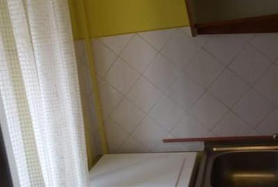 Garsoniera Parter Cu Baie Si Bucatarie Din Constructie/ Buziasului - 1