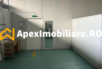 Hala Industrială Malu Rosu Ploiesti 550 mp + Birouri | Parcare 20 | Acces TIR | - 20