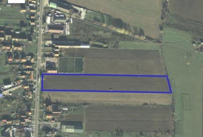 Teren zona L Blaga, acces direct din drumul principal - 1