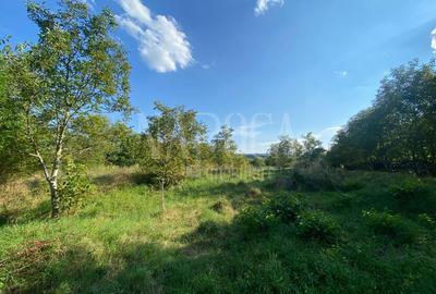 Teren intravilan pentru constructii de vanzare in Borhanci, Cluj Napoca - 2