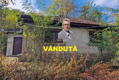 Resita Casa cu Teren privat 4670 Mp. - 1