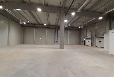 Spațiu industrial, în 23 August (Cațelul)