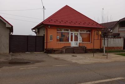 Spațiu comercial versatil, curte proprie și parcare, Biharia - 2