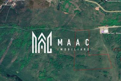 Teren 6,75 ha | Panoramă și Acces Excelent | Dealul Daii - 8