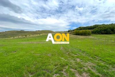 Teren de vanzare in Ciugud, 4200MP, Priveliste, Padure - 1