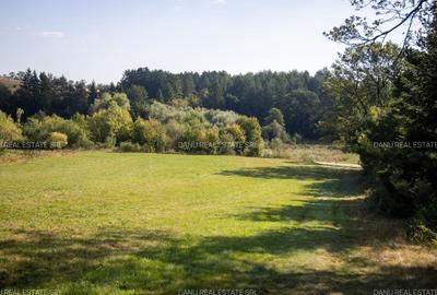 Teren Intravilan 3.300 mp in fata lacului  – Vulcan Brasov - 13