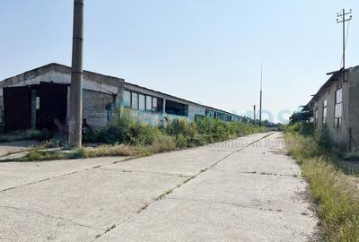 Complex industrial pe 25.659 mp teren, acces drum asfaltat, Bihor - 5
