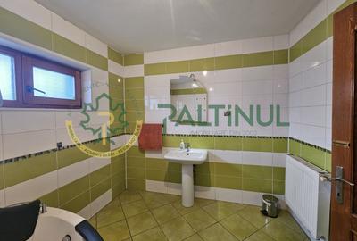 De inchiriat in Selimbar, Sibiu imobil pretabil sediu firma - 20